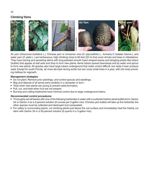 A Management Guide for Invasive Plants in Southern Forests James ...