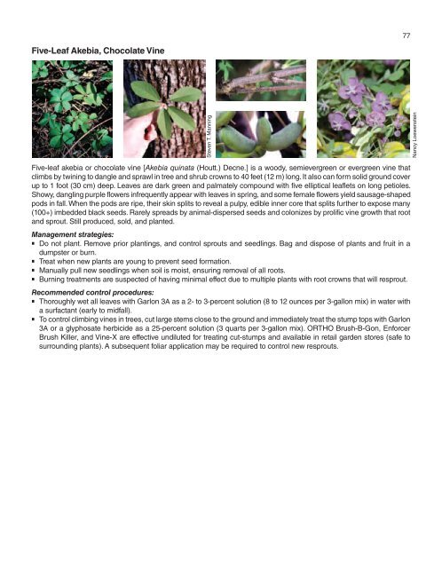 A Management Guide for Invasive Plants in Southern Forests James ...