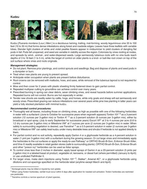 A Management Guide for Invasive Plants in Southern Forests James ...