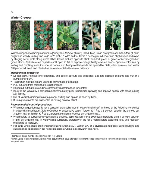 A Management Guide for Invasive Plants in Southern Forests James ...