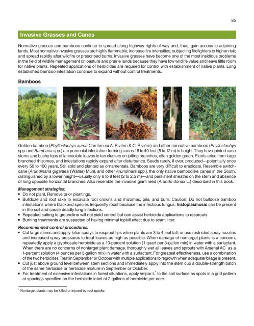 A Management Guide for Invasive Plants in Southern Forests James ...