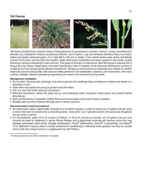 A Management Guide for Invasive Plants in Southern Forests James ...