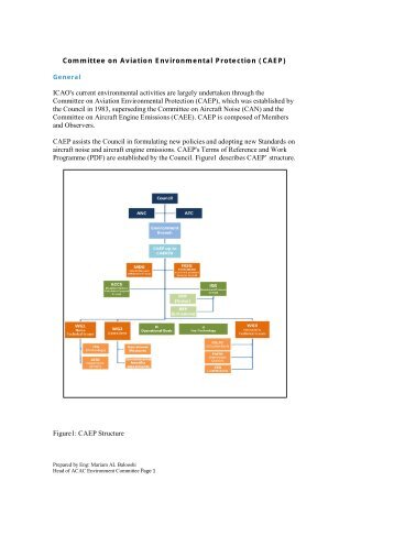 Committee on Aviation Environmental Protection (CAEP) ICAO's ...