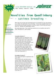 Novelties from Quedlinburg - satimex breeding -