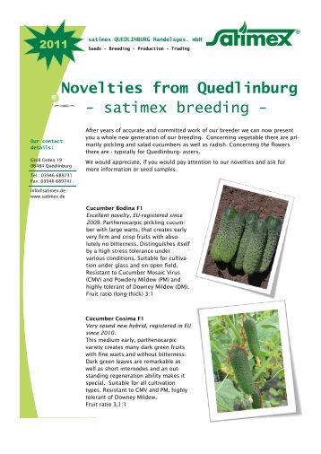 Novelties from Quedlinburg - satimex breeding -