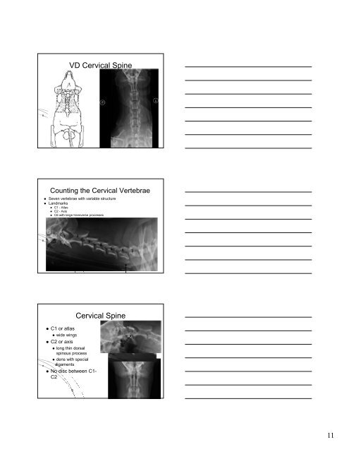 Normal Radiographic Anatomy of the Spinal Column Normal ...