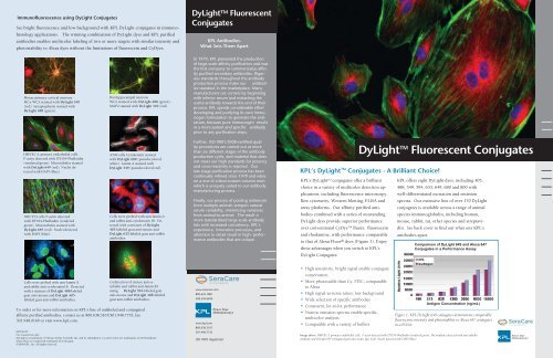 DyLight Fluorescent Conjugates Flyer 2:Layout 1.qxd - KPL