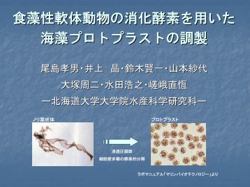 å°¾å³¶å­ç·ï¼åå¤§æ°´ç£ç§å­¦ç ç©¶ç§ï¼ï¼è³æï¼ - åæµ·éå¤§å­¦å¤§å­¦é¢æ°´ç£ç§å­¦ ...