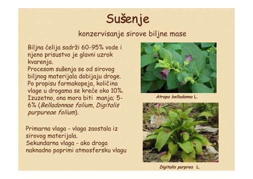 Sistematika i ekologija lekovitih biljaka Sistematika i ... - Raka Web
