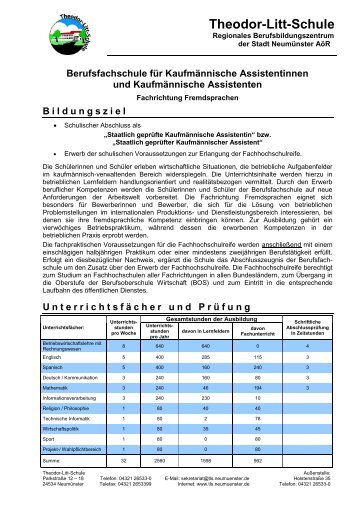 Informationsblatt Fachrichtung Fremdsprachen - Theodor-Litt-Schule