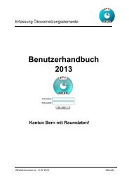 Benutzerhandbuch 2013 - GELAN Informatik