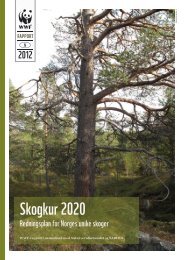 Skogkur - 2020 - Rapport - Fylker - MiljÃ¸status i Norge