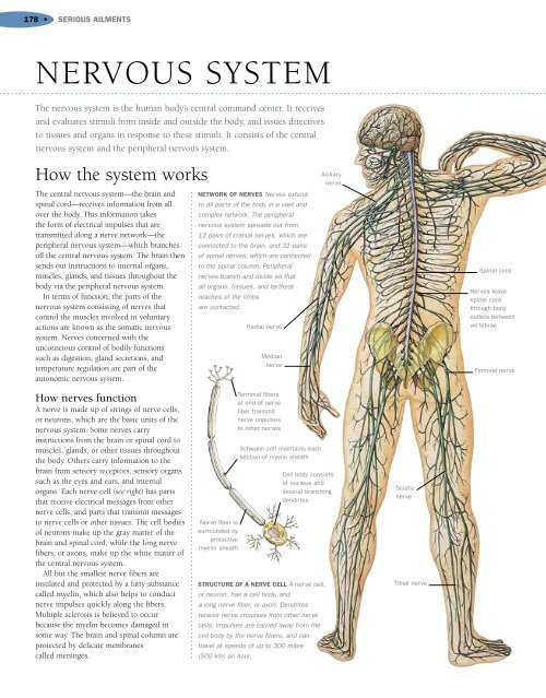 Encyclopedia of Homeopathy