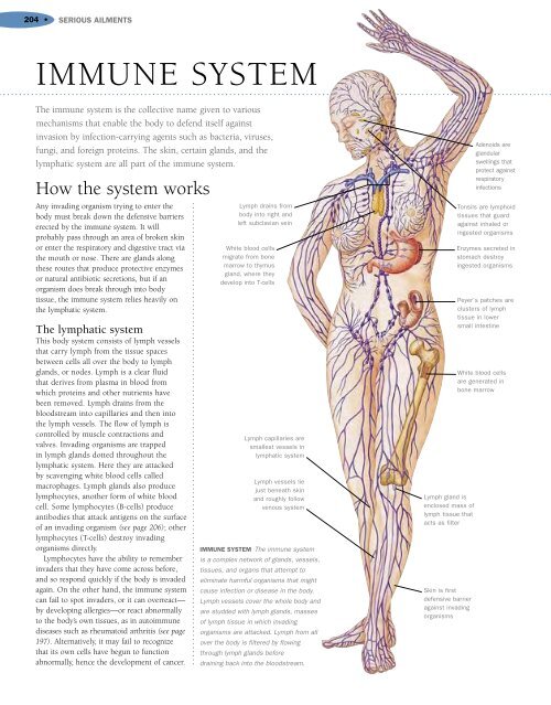 Encyclopedia of Homeopathy