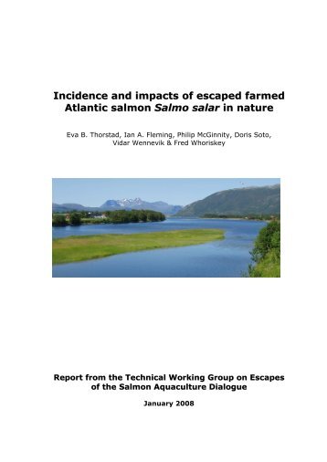 Incidence and impacts of escaped farmed Atlantic salmon ... - WWF