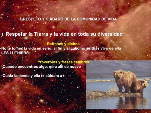 CARTA DE LA TIERRA - Earth Charter Initiative