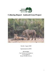 Amboseli Re-collaring Reportl - Kenya Wildlife Service