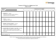 Tennessee 4-H Interview Judging Score Card ... - UT Extension