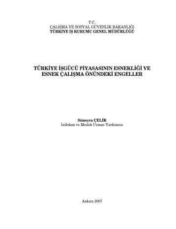 tÃ¼rkiye iÅgÃ¼cÃ¼ piyasasÄ±nÄ±n esnekliÄi ve esnek ... - TÃ¼rkiye Ä°Å Kurumu