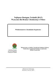 Wytyczne dla BranÃ…Â¼y Chemicznej w Polsce - Polska Izba PrzemysÃ…Â‚u ...