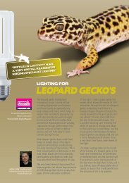 A5 Leaflet... - Arcadia Reptile