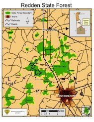 Redden State Forest - Delaware Department of Agriculture - State of ...