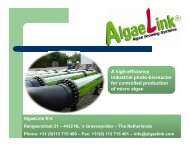 What is algae? - Enagri