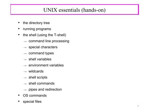 UNIX essentials (hands-on)