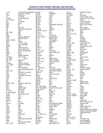 List Of Latin Prefixes 33