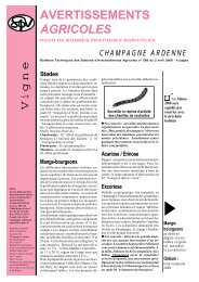 avertissements agricoles 589 vigne - Champagne info