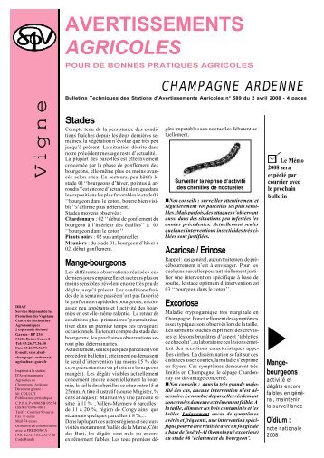 avertissements agricoles 589 vigne - Champagne info