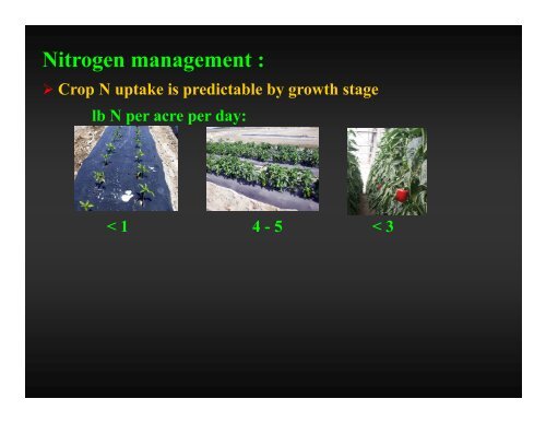 Soil fertility management for y g pepper production