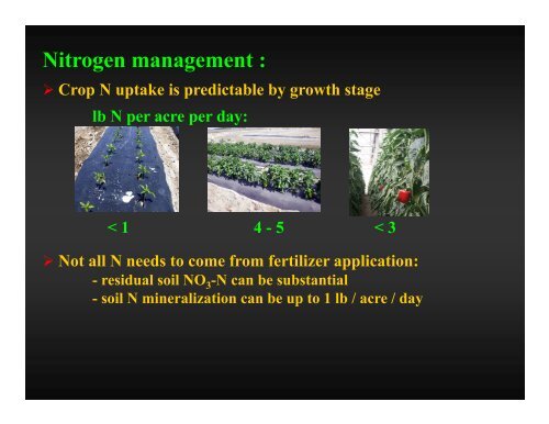 Soil fertility management for y g pepper production