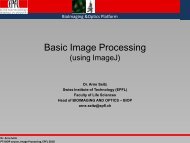 Basic Image Processing (using ImageJ) - BioImaging and Optics ...