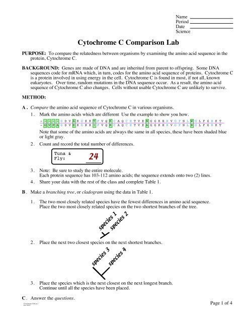 Cytochrome-C Comparisons