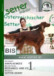 anaplasmose reizangel und co setter derby - Österreichischer Setter ...