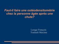 Dr Lesage/Toulault - PIRG