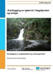 Kartlegging av ungfisktetthet og vandringshinder. Ecofact rapport 43.