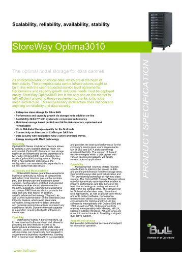 StoreWay Optima3010