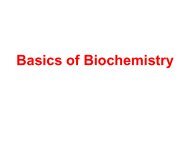 Basics of biochemistry notes - Biology for Life