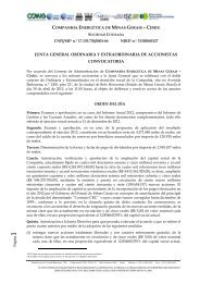 Junta General Ordinaria / Extraordinaria de Accionistas - Cemig