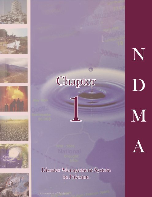 NDMA Annual Report 2011 (26MB)