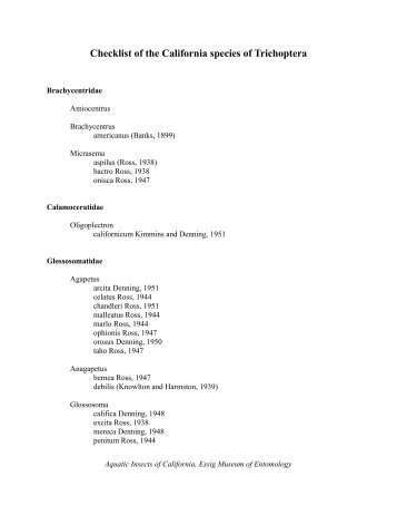 Checklist of the California species of Trichoptera - Essig Museum of ...