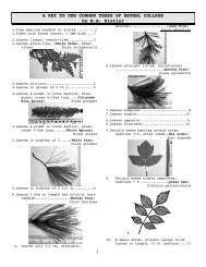 Campus Tree Key