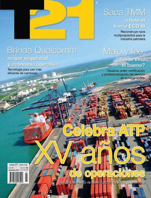 Revista T21 Diciembre 2010.pdf