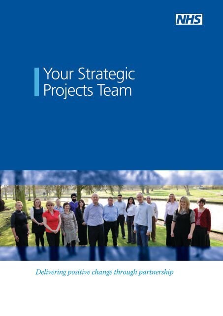 Your Strategic Projects Team - Strategicprojectseoe.co.uk