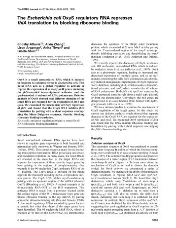 The Escherichia coli OxyS regulatory RNA represses fhlA translation ...