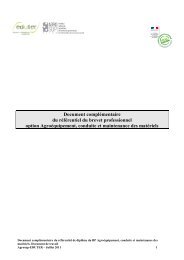Document complÃ©mentaire - ChloroFil