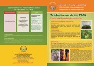 Trichoderma viride TAS - Chavimochic