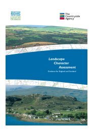 Landscape Character Assessment: Guidance for England and ...